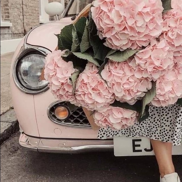 πΊπΊπΊπΊ Bloom With Grace πΊπΊπΊ - Picture 3 of 4